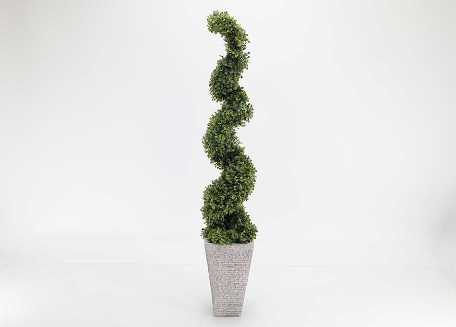 Tall Spiral Topiary main image