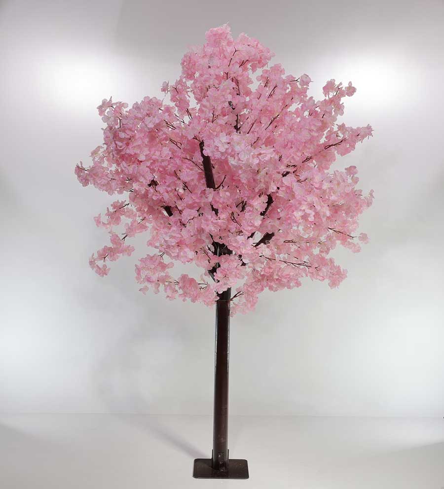 Cherry Blossom Tree main image